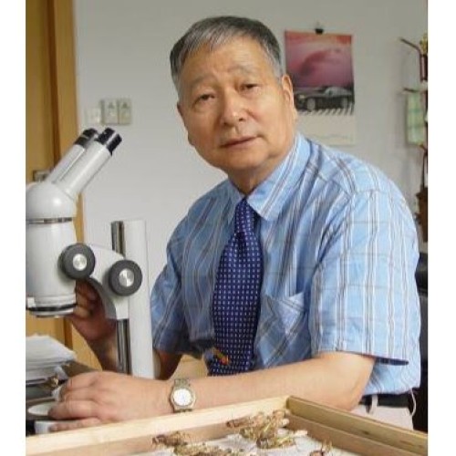 印象初