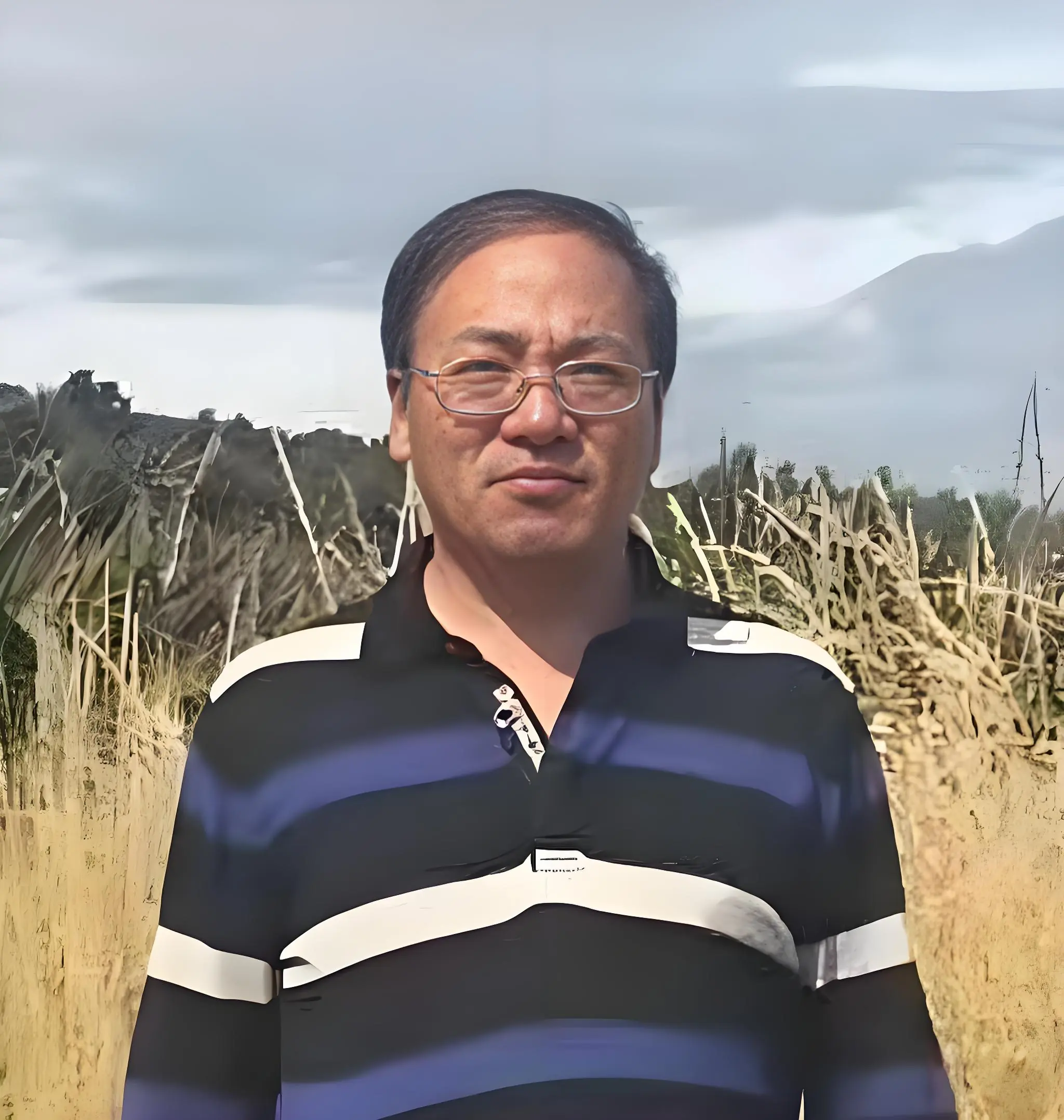 刘爱民