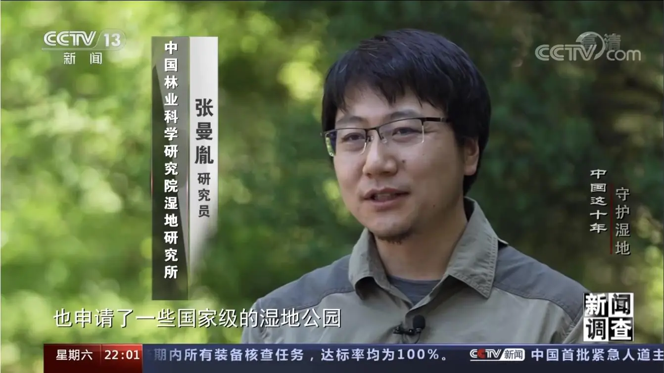 张曼胤