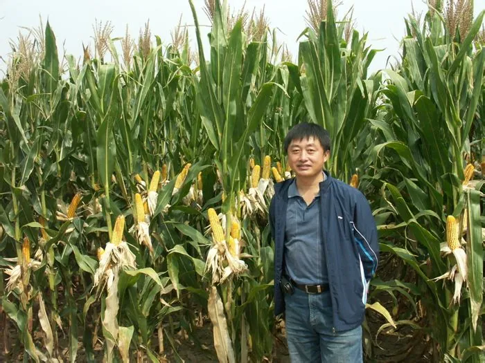 孟昭东