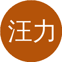 汪力